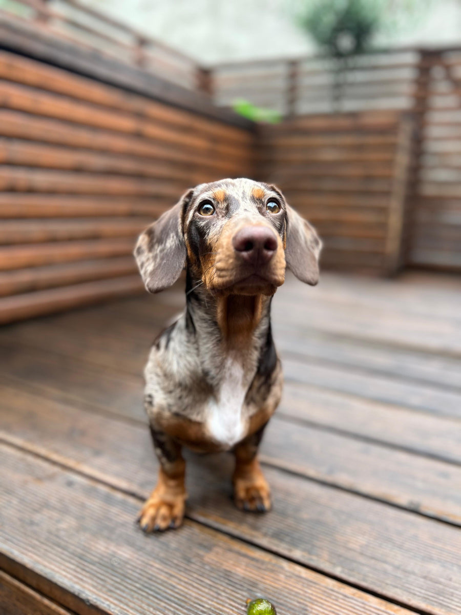 Unsere Geschichte: mit Liebe, Glanz & Herz aus Wuppertal ✨